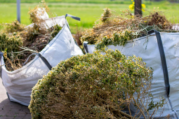 Demolition Debris Removal in Tavernier, FL